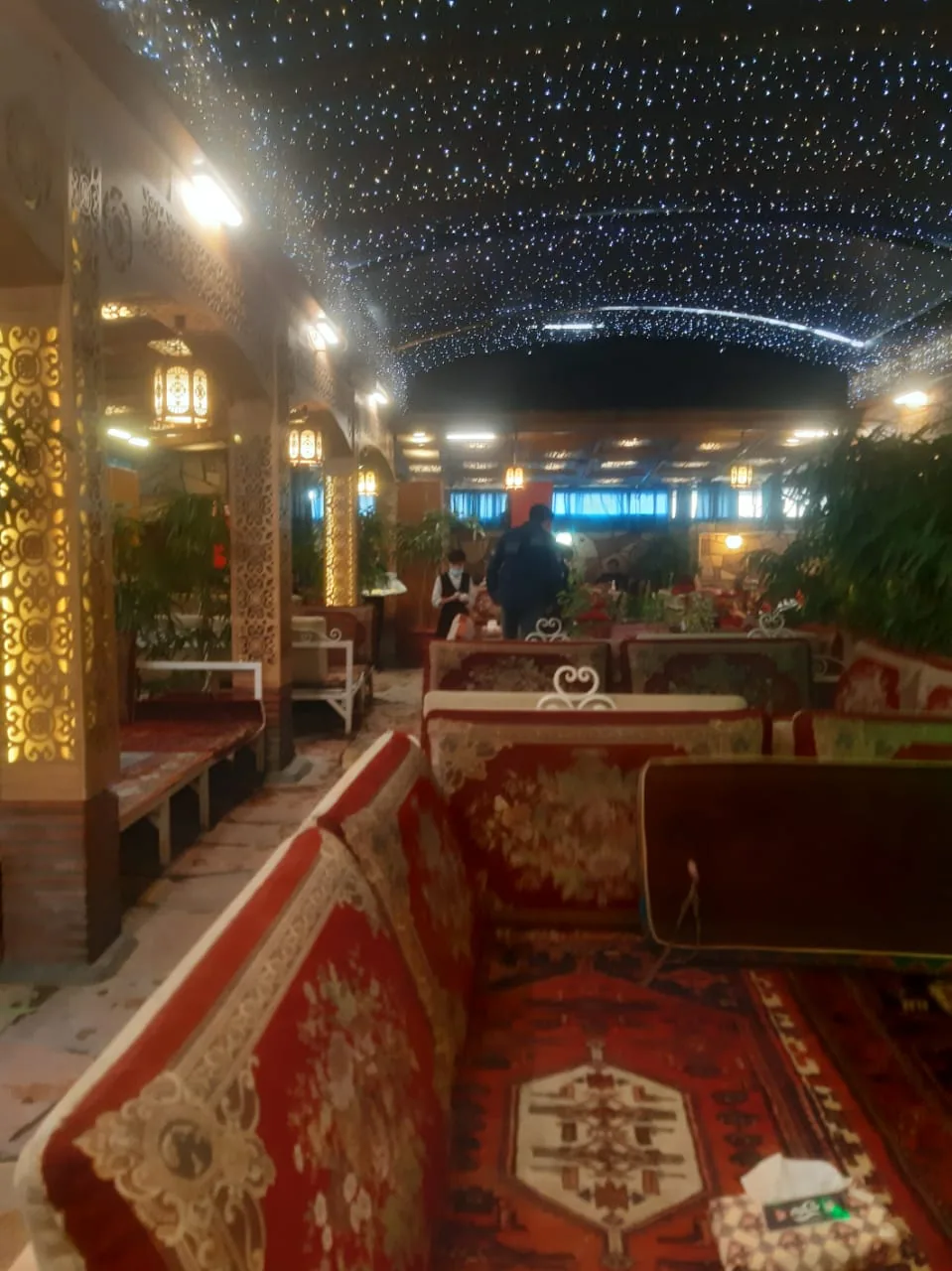 باغچه‌ خانوادگی آبشار - تصویر 2