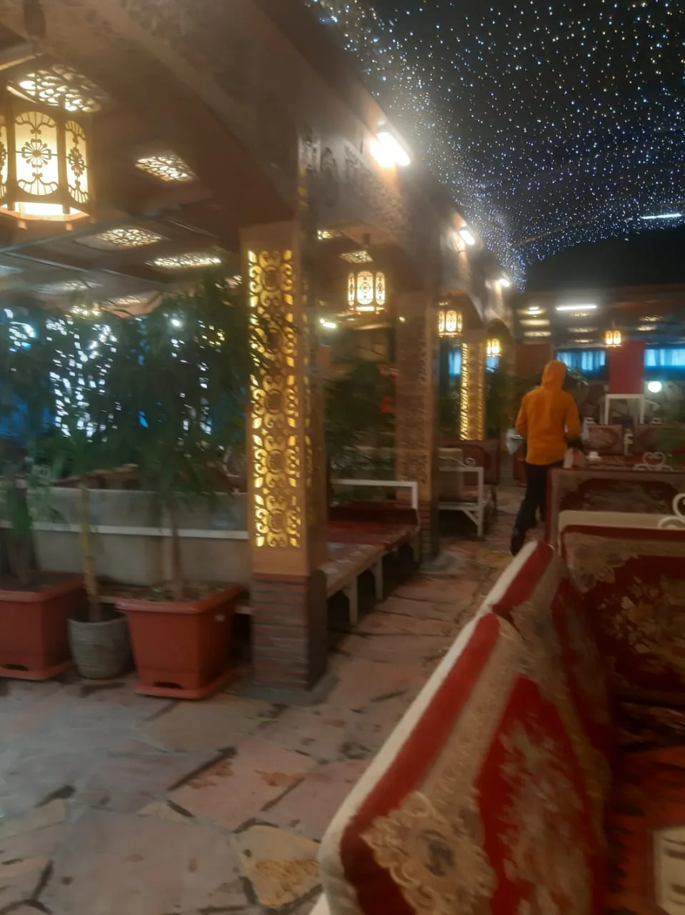 باغچه‌ خانوادگی آبشار - تصویر 3