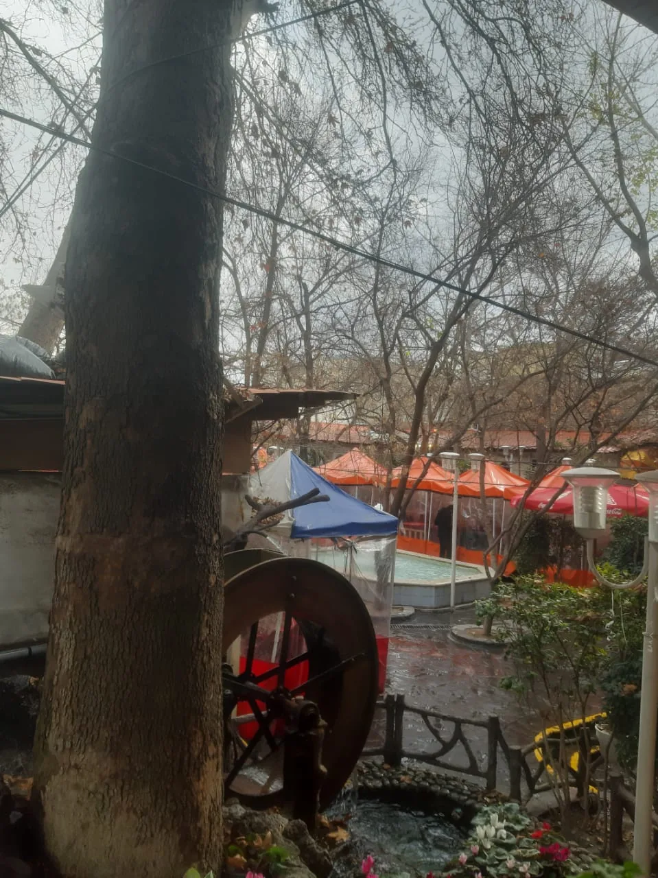 باغچه‌ خانوادگی آبشار - تصویر 4