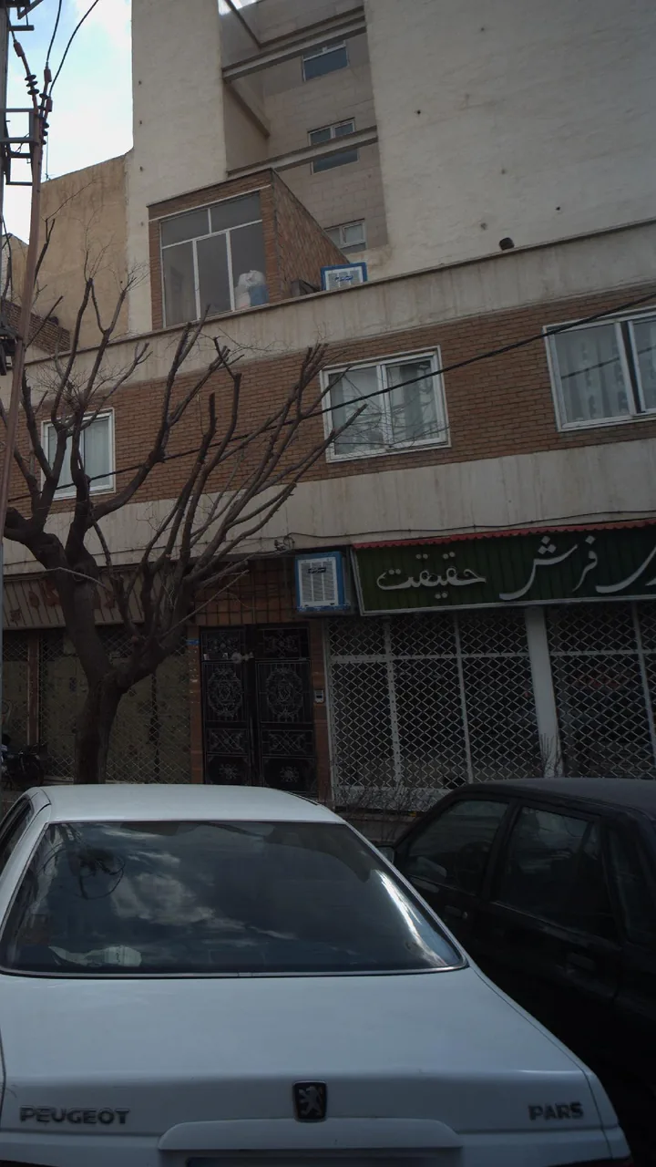 فروشگاه فرش حقیقت - تصویر 2