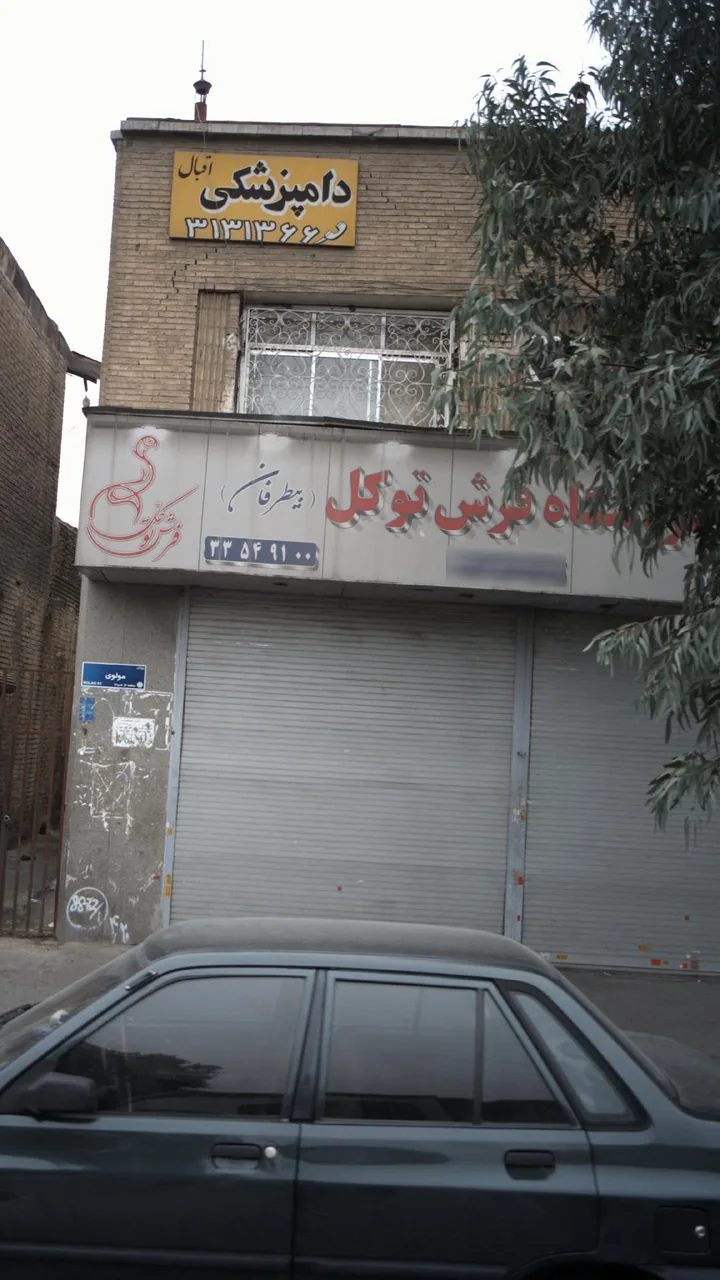 فروشگاه فرش توکل بیطرفان