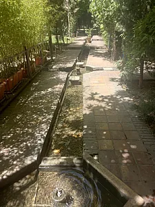 کافه رستوران چای بار