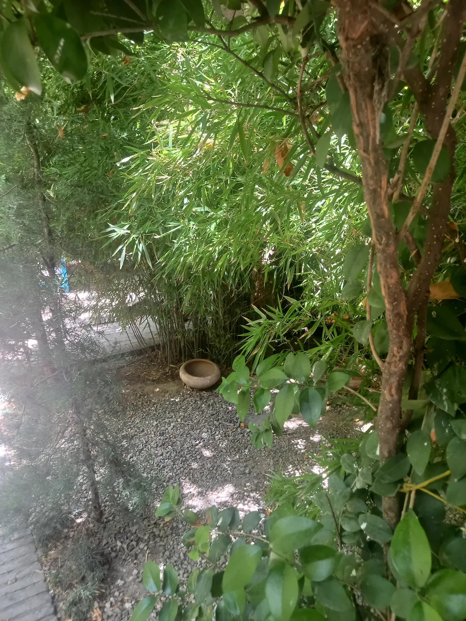 کافه رستوران چای بار - تصویر 2