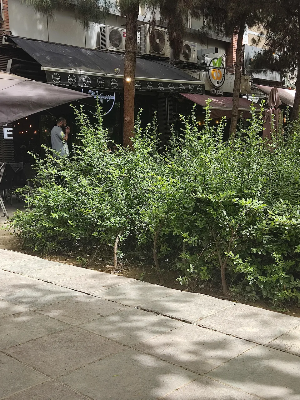 کافه سپنج - تصویر 2