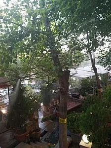 سفره خانه سنتی چهل ستون