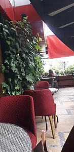 کافه رستوران فلورانس