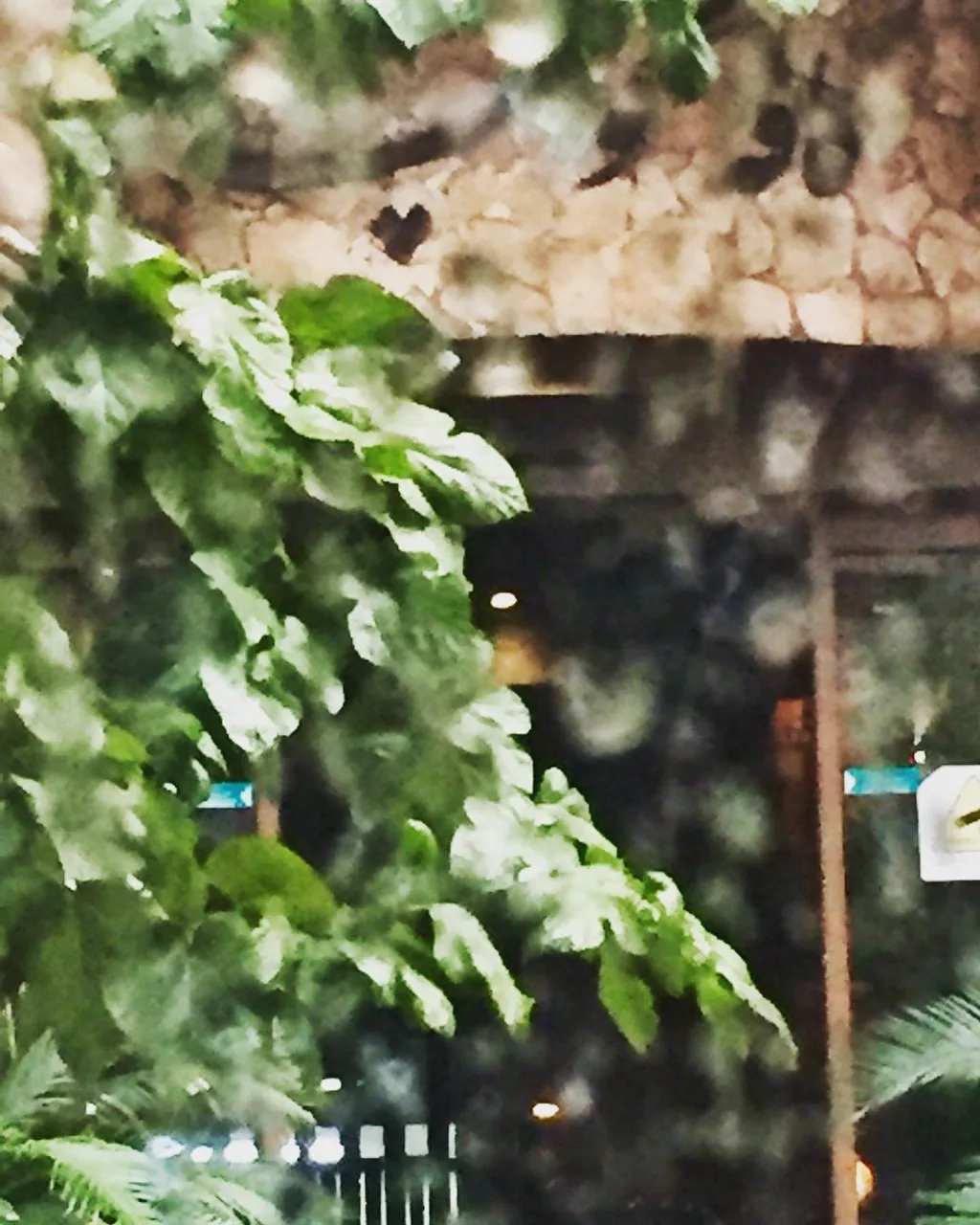 کافه کوچه - تصویر 2