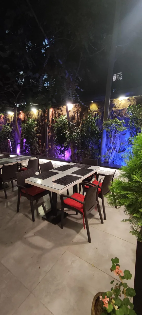کافه رستوران هندی تندور - تصویر 2
