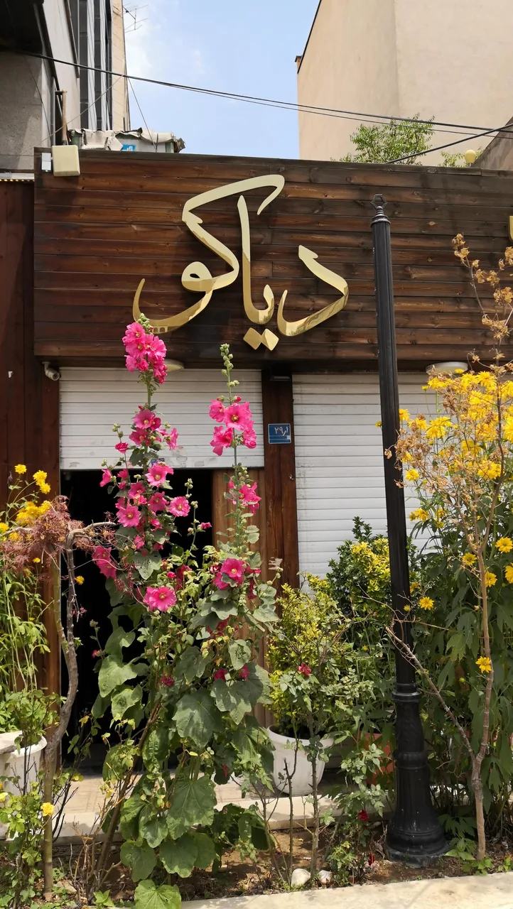 کافه رستوران دیاکو - تصویر 4