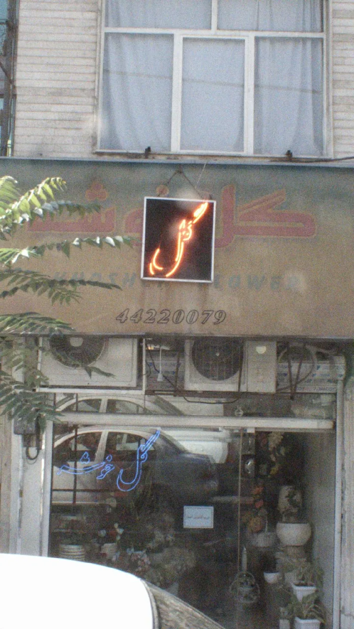 چلوکبابی گلسرخ
