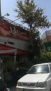 پیتزا بلوط