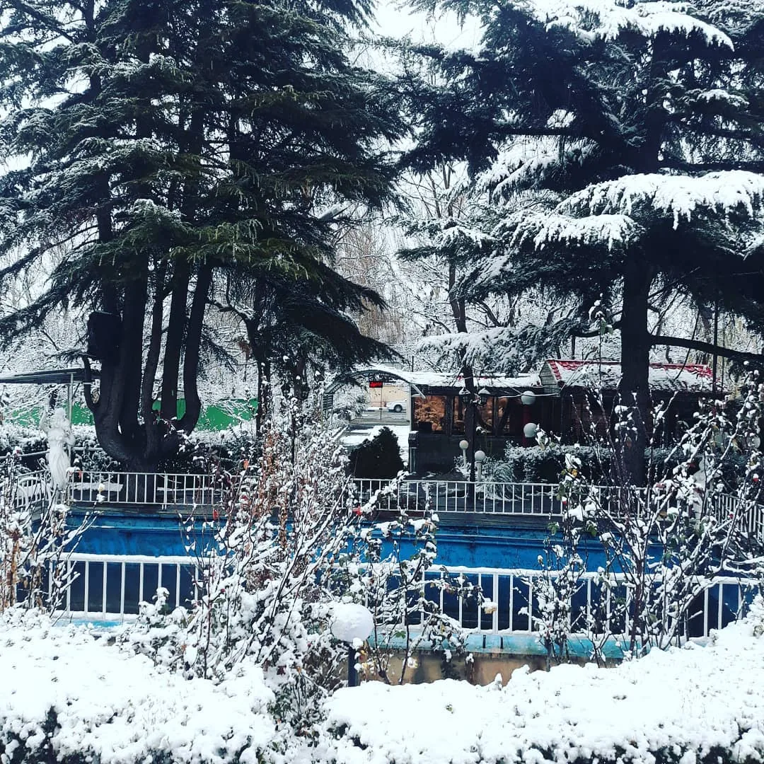 رستوران مروارید - تصویر 3