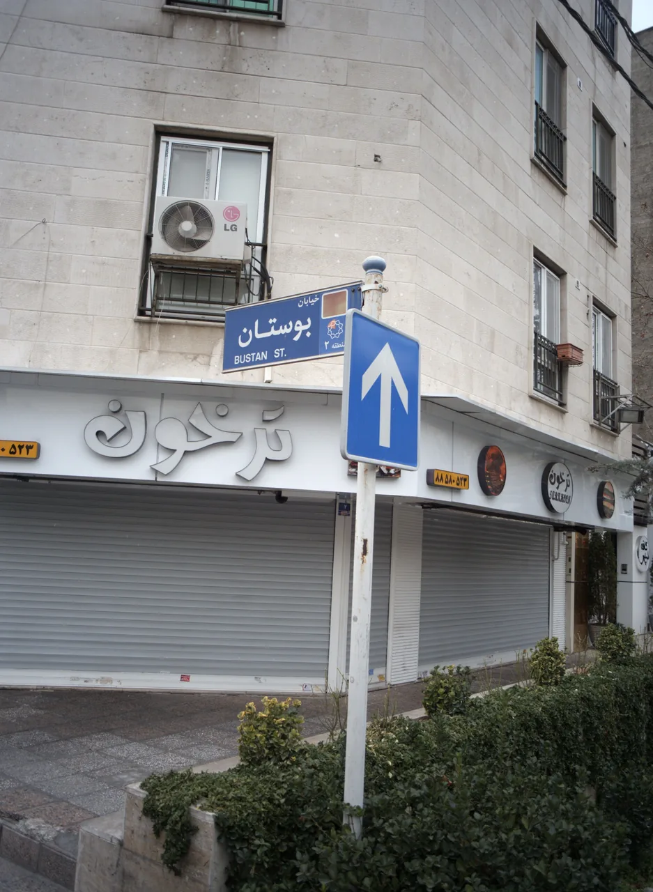 ساندویچی ترخون