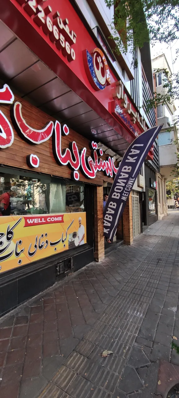 کاج ۱