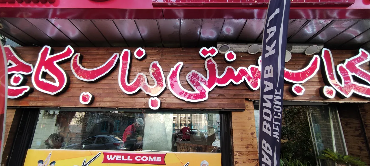 کاج ۱ - تصویر 3