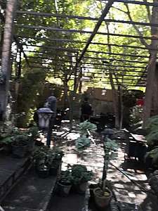 باغچه رستوران بهشت