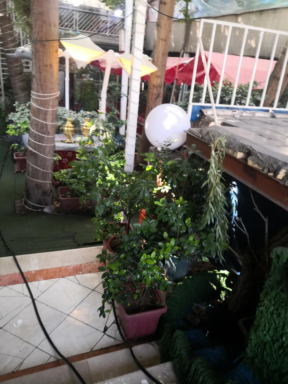 باغچه رستوران بهشت - تصویر 2
