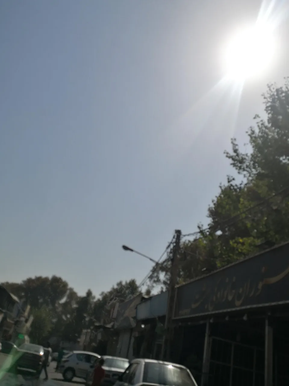 باغچه رستوران بهشت - تصویر 3