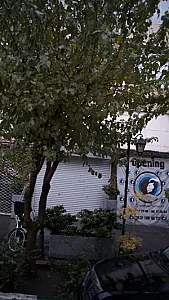 کافه رستوران آدا‍‍
