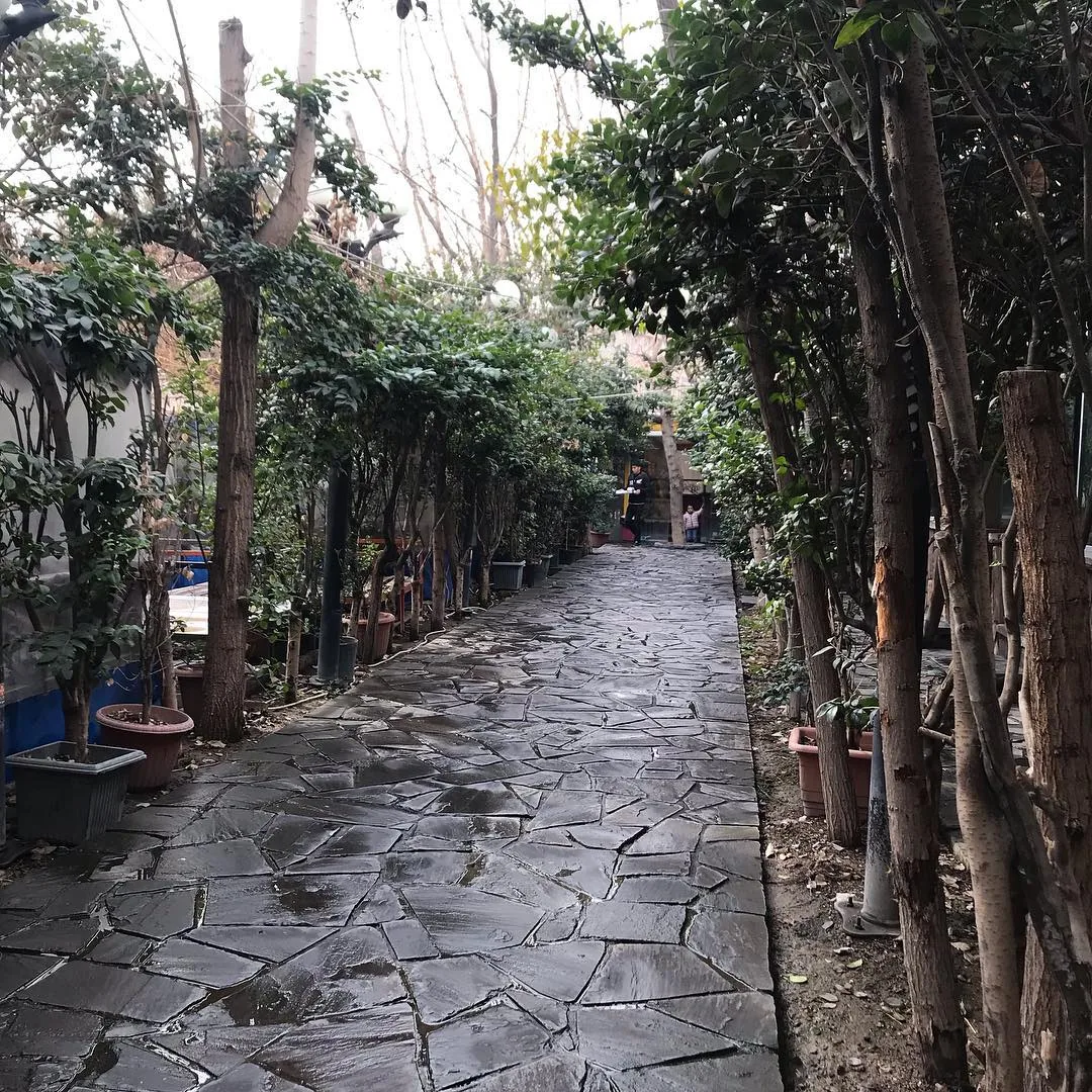 رستوران جزیره - تصویر 2