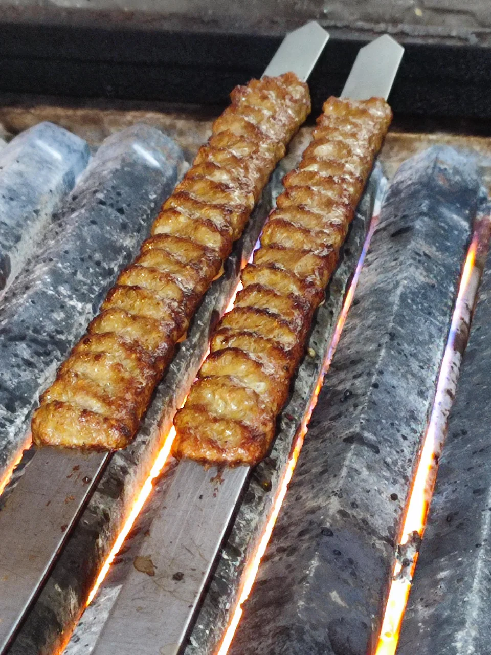 باغ رستوران سهیل - تصویر 3