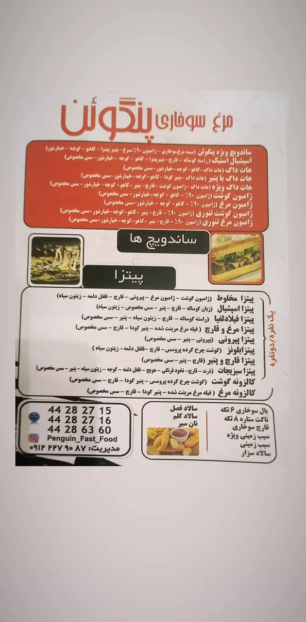 مرغ سوخاری پنگوئن - تصویر 2