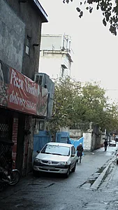 پیتزا نیوشا