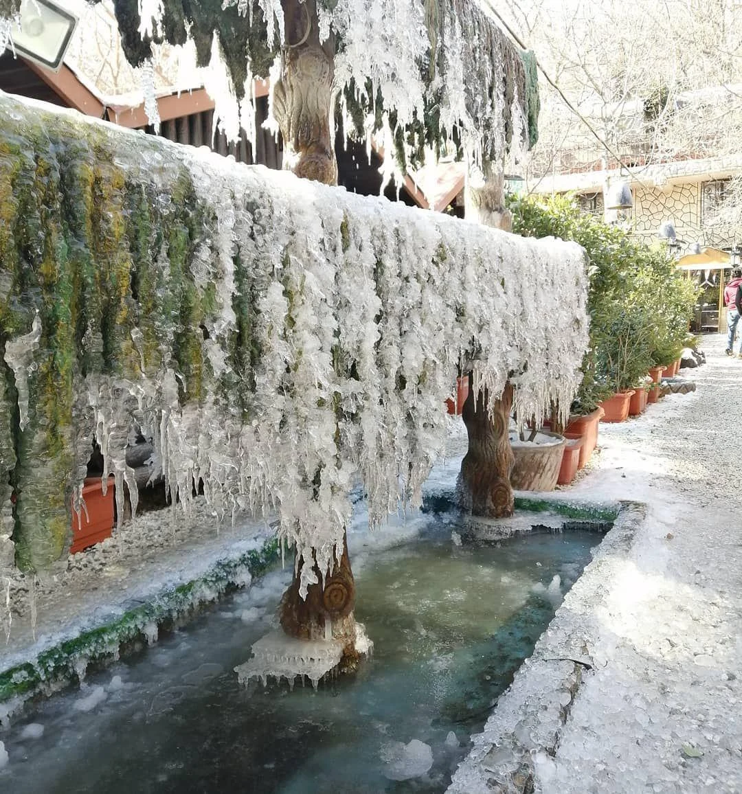 باغ رستوران کلبه