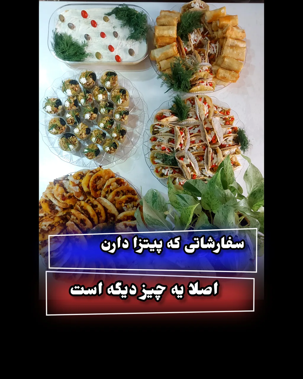 فینگرفود ترافل - تصویر 2