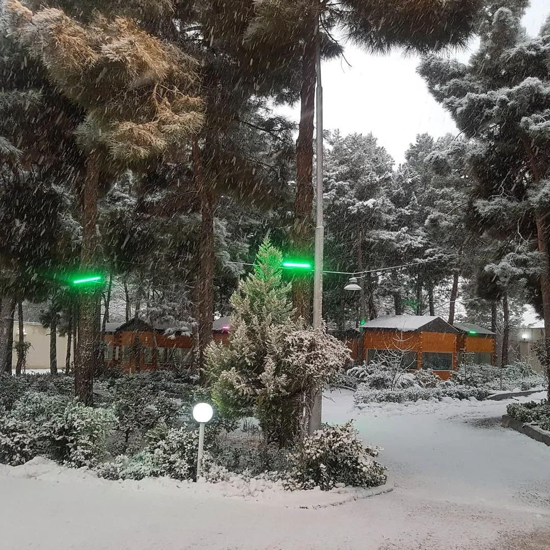 باغ رستوران بهشت پنهان - تصویر 4