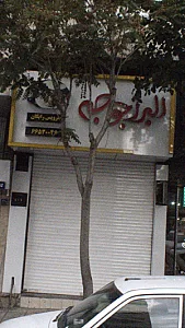 البرز جوجه