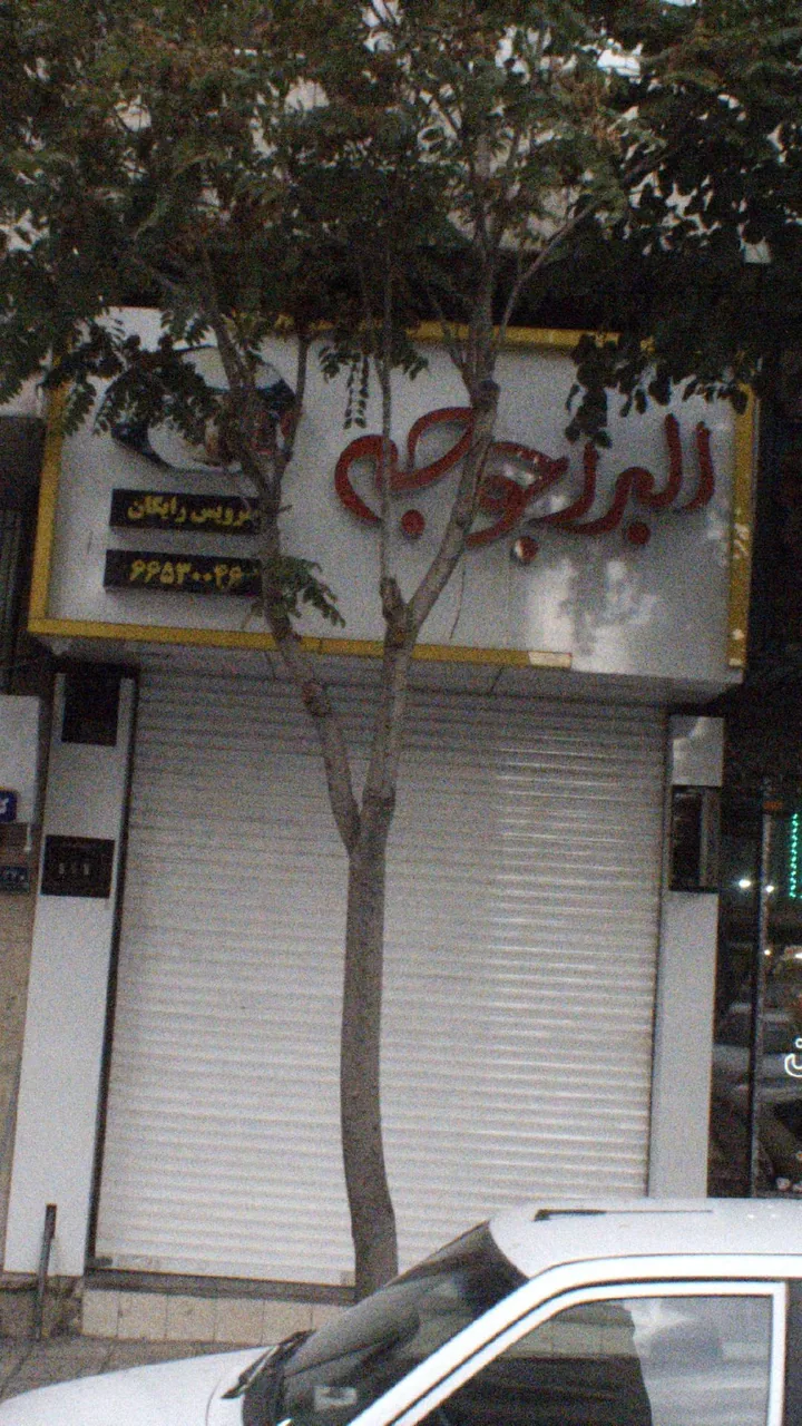 البرز جوجه - تصویر 2