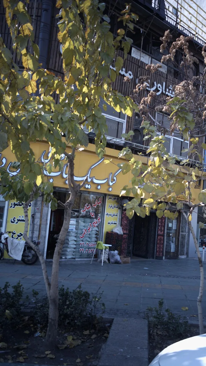 کباب یک بناب - تصویر 3
