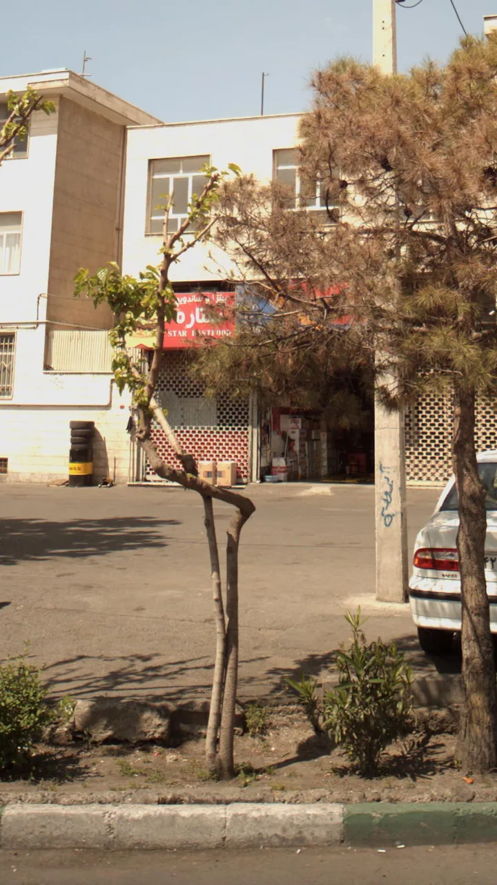 پیتزا و ساندویچ ستاره