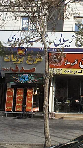 مرغ بریان صدف