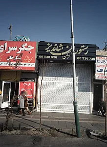 رستوران شاندیز