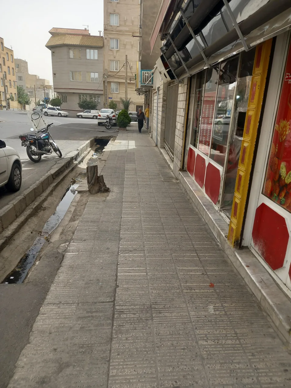 فلافل سید 1001 - تصویر 3
