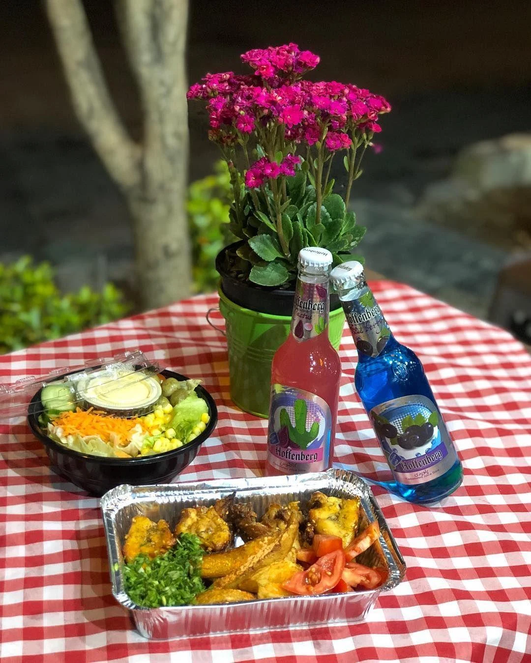 بابک بریانک