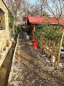 باغ رستوران سنجاب
