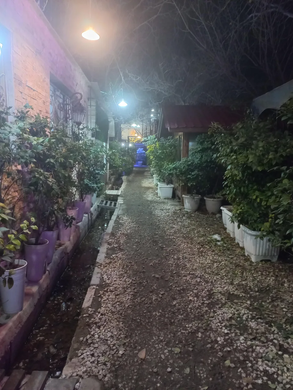باغ رستوران سنجاب - تصویر 2