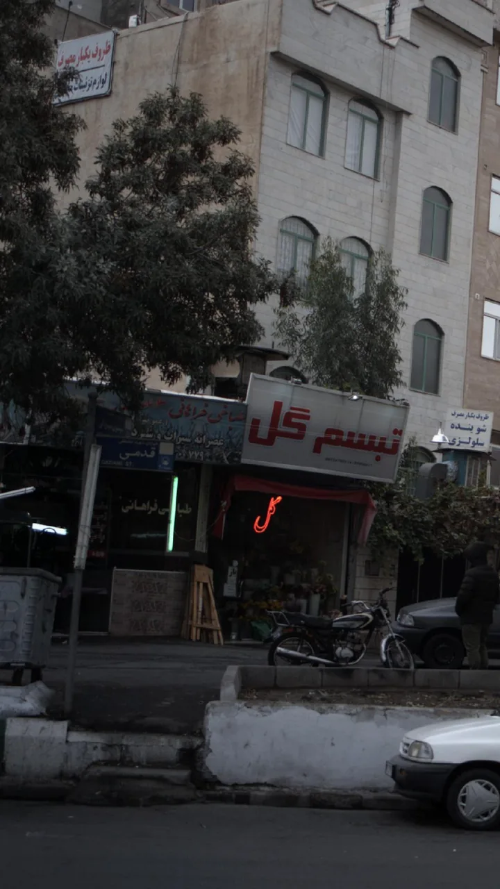 طباخی فراهانی - تصویر 2