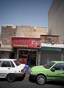 گل گندم