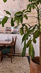 رستوران روحی تجریش