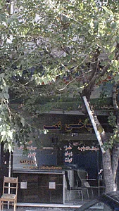 طباخی نصر