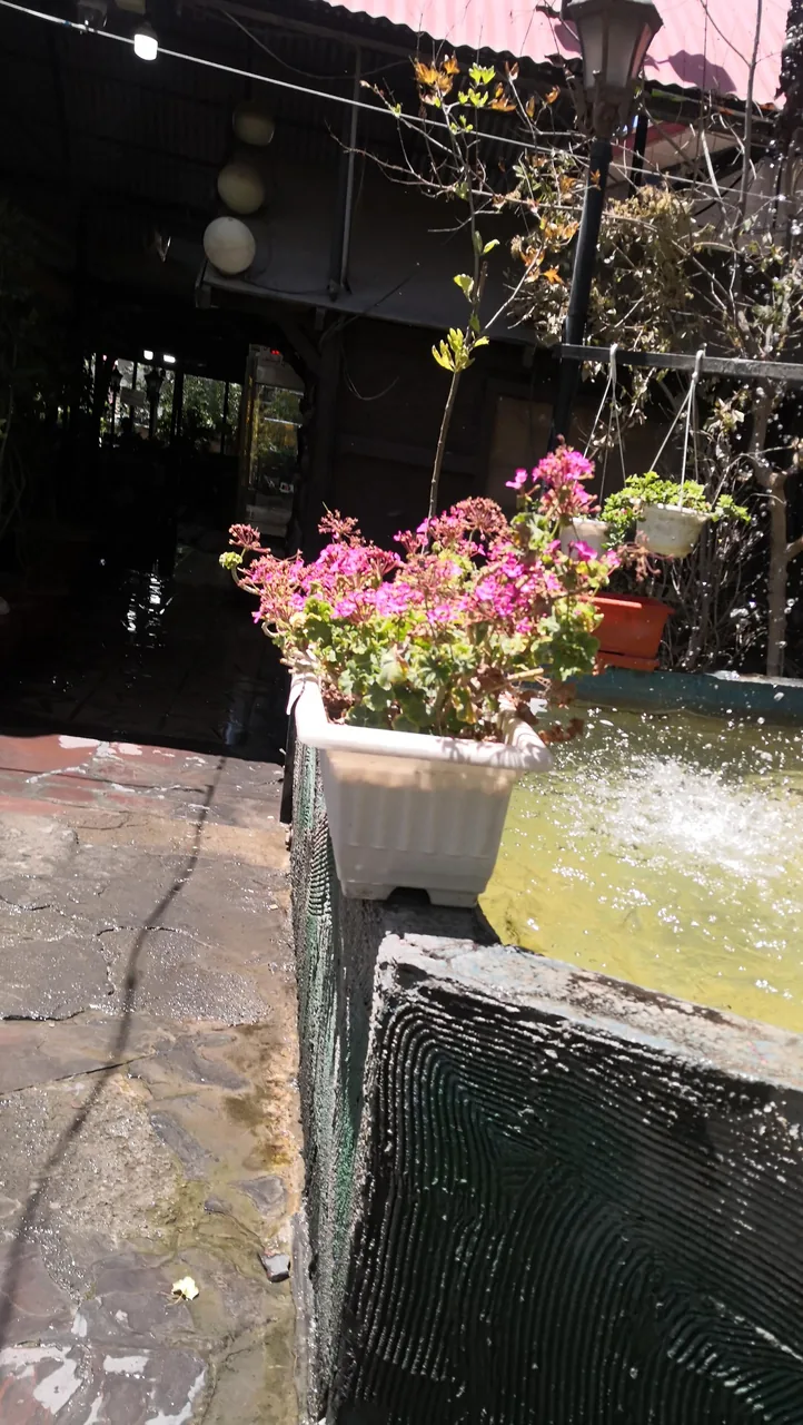 باغ رستوران فاخته - تصویر 3