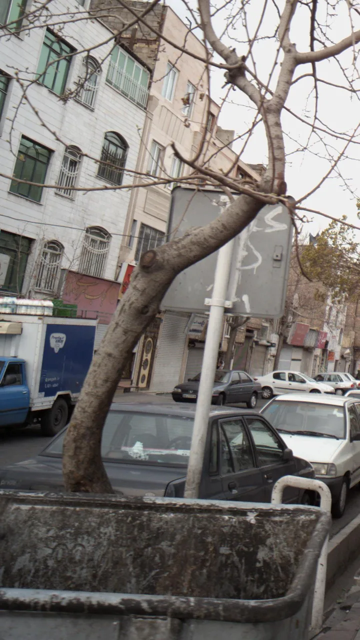 کبابسرای ۱۱۰ - تصویر 2