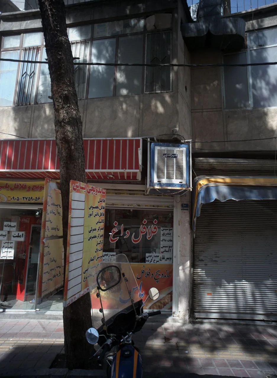 ساندویچی و فلافل یاس