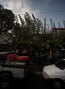 مرغ بریان