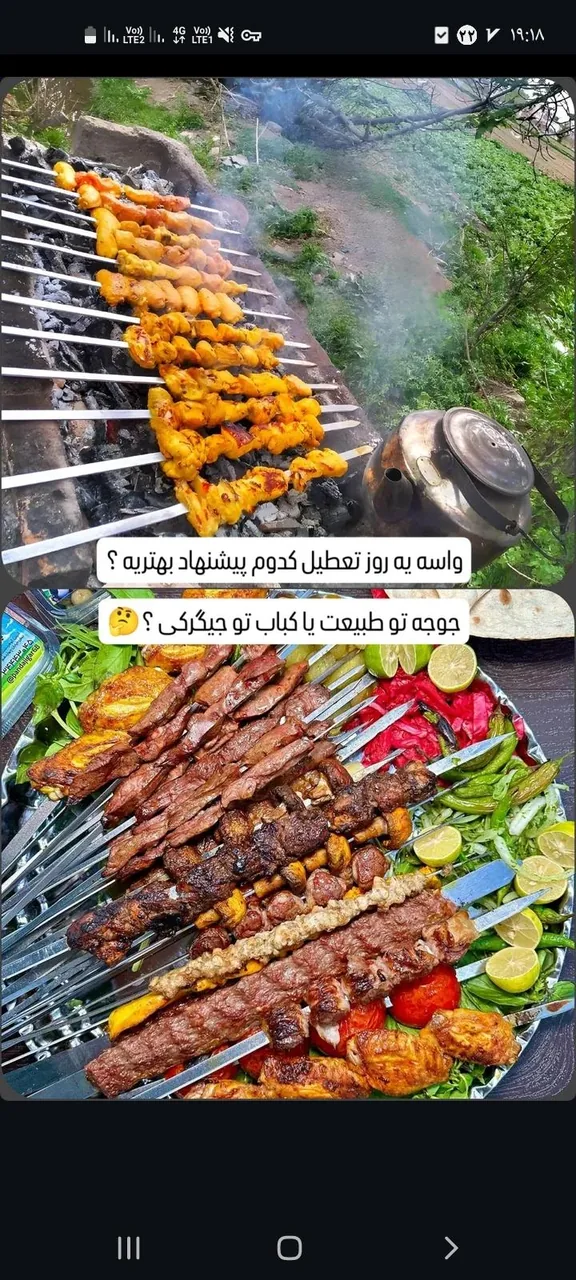 جیگر مولا ۱۱۰ - تصویر 4