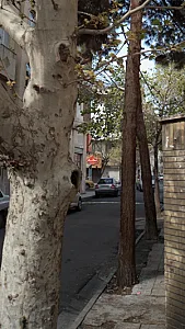 ایستگاه برگر